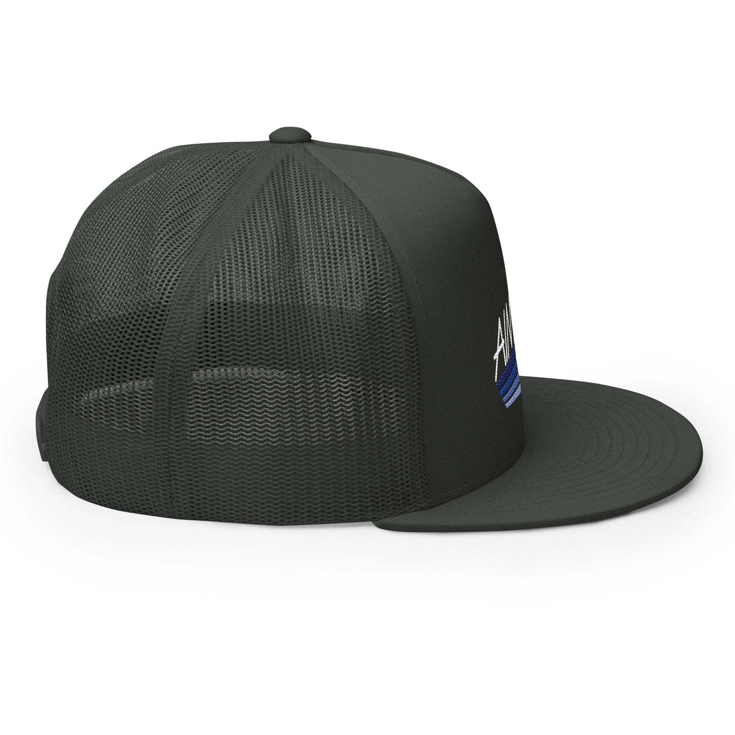 Color Logo Flat Billed Trucker Cap