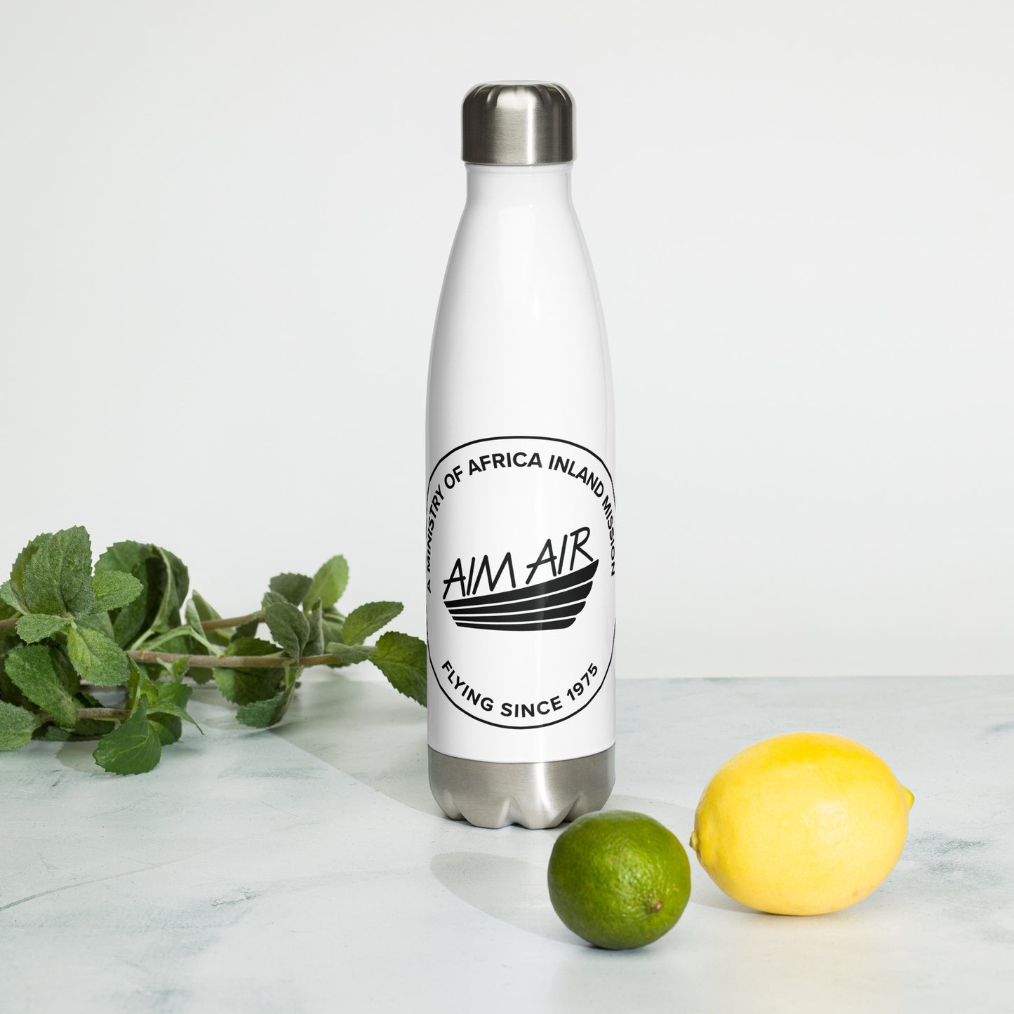 Stainless Steel Water Bottle (Black Logo)