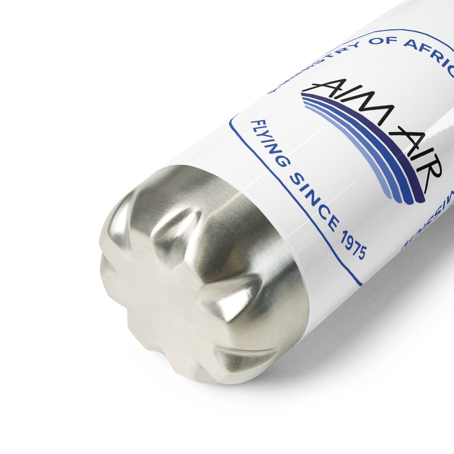 Stainless Steel Water Bottle (Blue Logo)