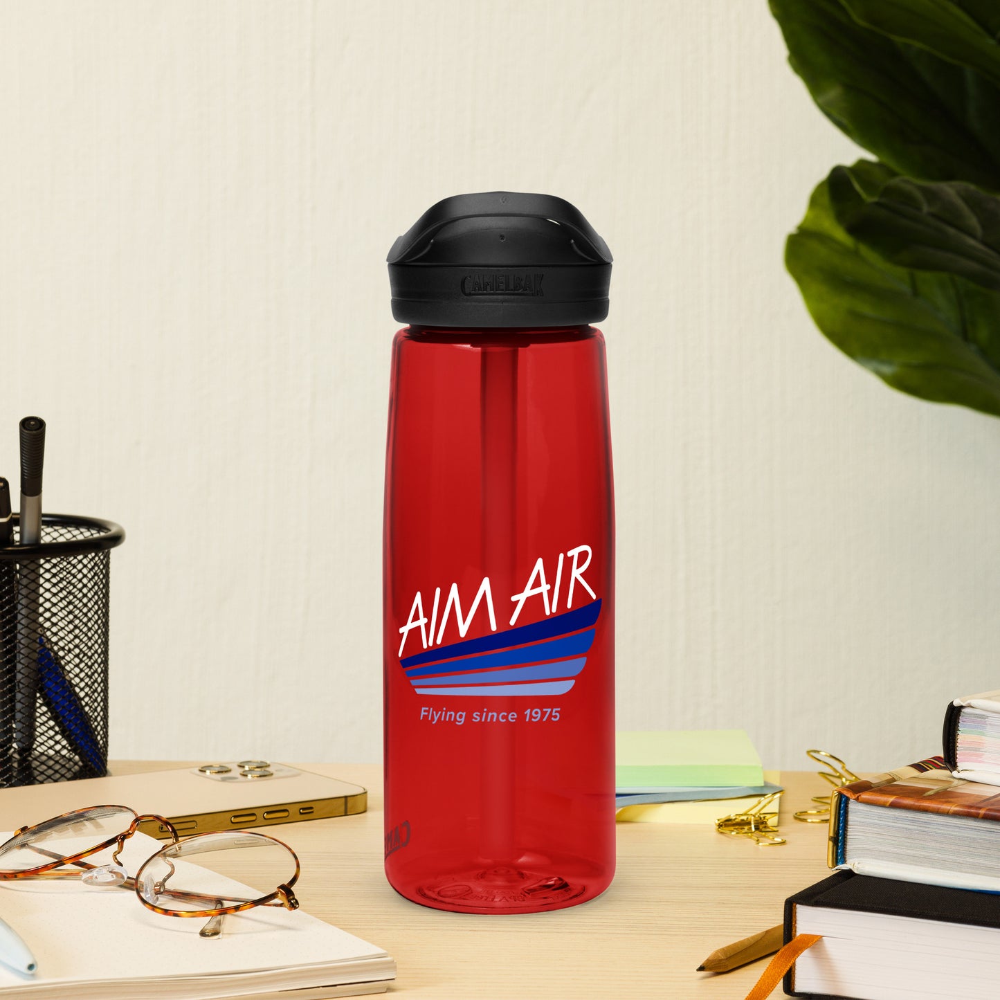 AIM AIR Logo Sports water bottle