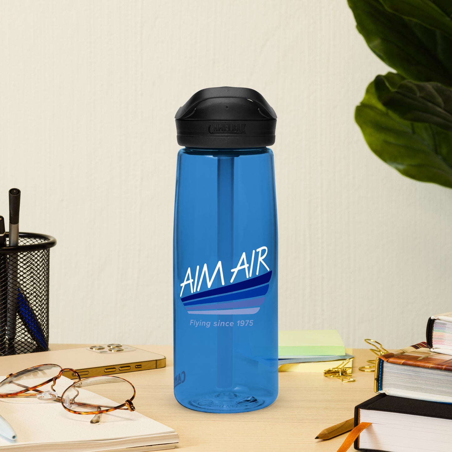 AIM AIR Logo Sports water bottle